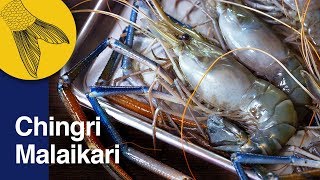 Chingri Malaikari Recipe—Bengali Prawn Malai Curry—Bengali Prawn Curry—Noboborsho Special [upl. by Crane]