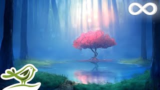 Deep Relaxing Music • Meditation Music Sleep Music Ambient Music [upl. by Erfert]