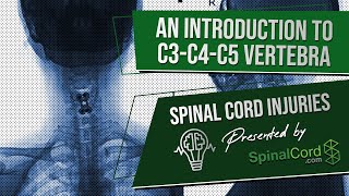 C3 C4 C5 Definitions Cervical Spinal Cord Injury Symptoms Causes Treatments and Recovery [upl. by Giselle]