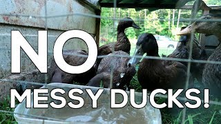 quotNo Messy Ducksquot  How to Raise CLEAN Ducks [upl. by Ellezig57]