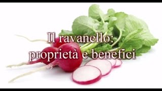 ravanello proprietà e benefici [upl. by Sukey]