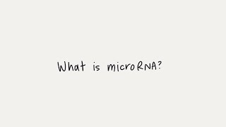 What is microRNA miRNA [upl. by Norted]