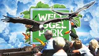 Vogelpark Walsrode [upl. by Jemmie]