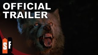 Everything Wrong With Pet Sematary 2019 [upl. by Trella]