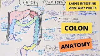 Warning Signs of Colorectal Cancer [upl. by Irabaj]