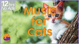 NO ADS 12 Hours of Extremely Relaxing Cat Music [upl. by Brey533]