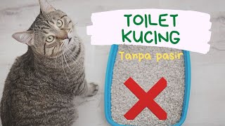 Toilet kucing tanpa pasir [upl. by Anihsat]