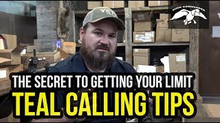 Teal Calling Tips  Learn how to COMMAND the Ducks [upl. by Yuille]