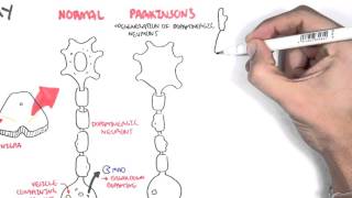 Pharmacology  Parkinsons Disease [upl. by Gnuj455]