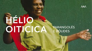 Visita Guiada  Hélio Oiticica Parangolés e Bólides [upl. by Anayhd]