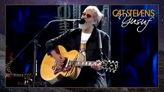 Yusuf  Cat Stevens  Father and Son Viña Del Mar Festival Chile 2015 [upl. by Iru]