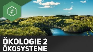 Ökosysteme  Ökologie 2 [upl. by Akitnahs470]