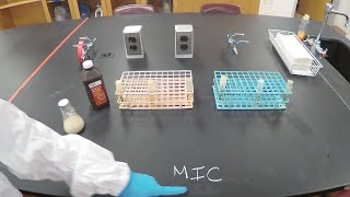 Minimal Inhibitory Concentration MIC and Minimum Bactericidal Concentration MBC  Microbiology [upl. by Sivet621]