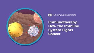 Immunotherapy How the Immune System Fights Cancer [upl. by Drew]