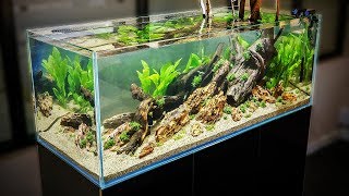 HOW TO AQUASCAPE a 125 gal Nature Aquarium [upl. by Clarisa141]