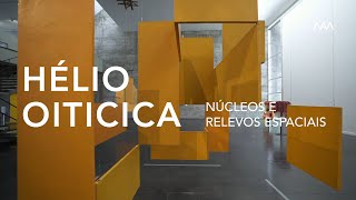 Visita Guiada  Hélio Oiticica Núcleos e Relevos Espaciais [upl. by Fillander]