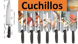 Tipos de cuchillos en la cocina  Usos de los cuchillos de cocina  Gastronomía [upl. by Adnalra652]