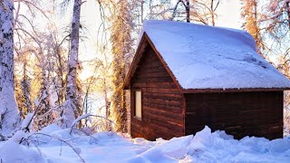 Off Grid Cabin in the Alaskan Wilderness [upl. by Seerdi]