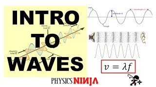 Introduction to Waves [upl. by Hairakcaz]