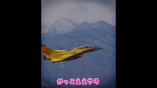 ラジコン飛行機はカッコイイ [upl. by Hsirk]