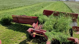 Farmer Talks  Rye vs Ryegrass [upl. by Kramal]