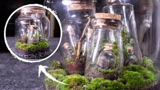 Putting Terrariums in a Terrariums Terrarium Terraception [upl. by Ytima]