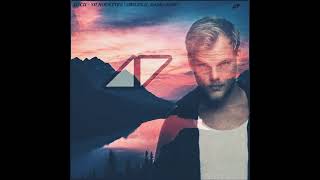 Avicii  Silhouettes Edit [upl. by Nylzaj]