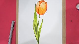 How To Draw Tulip Flower Step by Step in 8 Minutes [upl. by Irita]