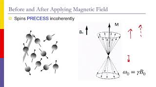 【Lecture】醫學影像成像原理：Magnetic Resonance Imaging MRI [upl. by Ruffi]