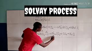 Common Industrial Processes solvay Process Jamb 2023 Examination [upl. by Airdnaed204]