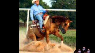 Los Secretos de Entrenamiento de Caballo en Rienda [upl. by Anilosi852]