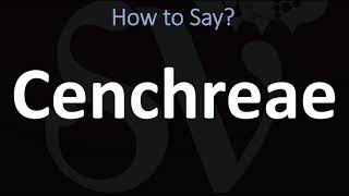 How to Pronounce Cenchreae CORRECTLY [upl. by Jacobine]