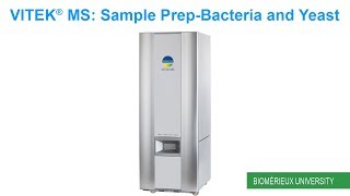 VITEK MS Sample PrepBacteria and Yeast [upl. by Shields]