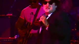 The Blues Brothers  Shotgun Blues  12311978  Winterland [upl. by Prouty]