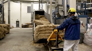 Take a tour of a hemp processing plant [upl. by Lesli]