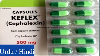 Keflex Cephalexin Capsules uses side effects and Warning [upl. by Moorefield]