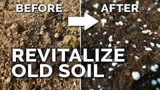 2 Easy Methods to Revitalize OLD Potting Soil [upl. by Nirik]