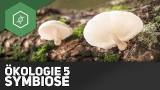 Symbiose – Ökologie 5 [upl. by Ssalguod]