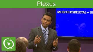 Plexus Structure amp Overview – MRCS  Lecturio [upl. by Nosremaj]