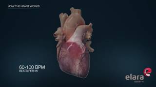 Open Heart Surgery What to Expect English CC [upl. by Wartow]