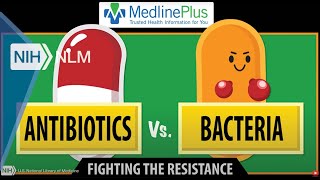 Antibiotics vs Bacteria Fighting the Resistance [upl. by Enoid]