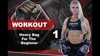 Punch Fit Beginners Heavy Bag Workout 1 [upl. by Esdnyl461]