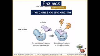 Enzimas generalidades  Enzimas parte I [upl. by Lodovico]