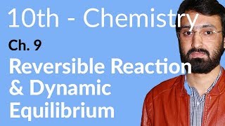 Class 10 Chemistry Chapter 9Reversible Reaction Dynamic Equilibrium10th Class Chemistry Chapter 1 [upl. by Leilah]