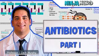 Antibiotics Cell Wall Synthesis Inhibitors Part 1 [upl. by Ytsirk]