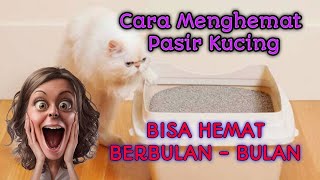 Cara Menghemat Pasir Kucing [upl. by Vocaay]