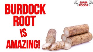 10 Burdock Root Benefits YOU NEED TO KNOW [upl. by Knarf931]