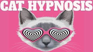 Sound To Calm Cats Within Minutes  Cat Hypnosis [upl. by Yoshiko]