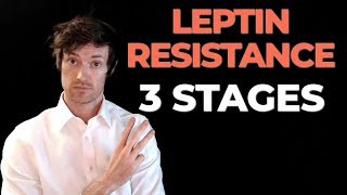 3 Stages of Leptin Resistance and what they mean for weight loss [upl. by Yoj]