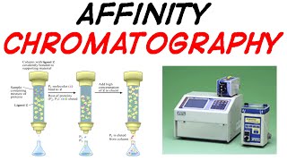 Affinity chromatography [upl. by Nohcim280]